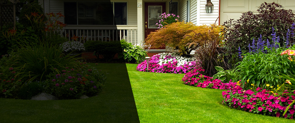 Novelty Landscapers